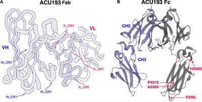 ACU193: An Immunotherapeutic Poised to Test the Amyloid β Oligomer Hypothesis of Alzheimer’s Disease